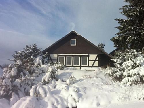 Detached holiday home in the Sauerland near Winterberg with terrace and garden