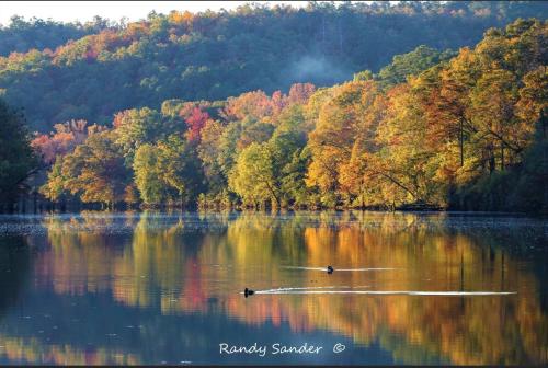 Knotty and Nice Luxury Cabin
