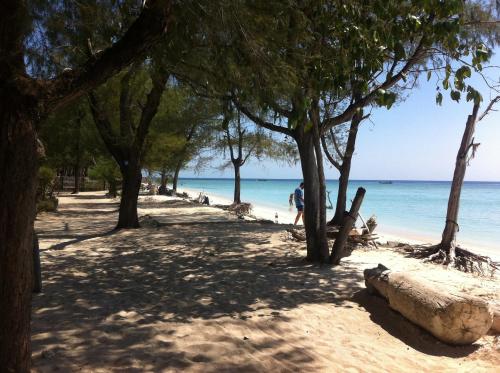 Bluecoral Bungalows