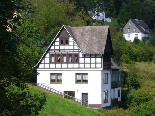 Spacious holiday home with private terrace - Schmallenberg