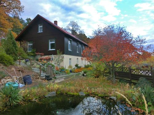 Spacious Apartment in Blankenburg Harz near Ski area