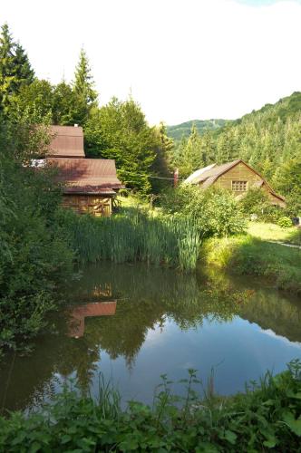 Zarinok, Pilipets (photo 7)