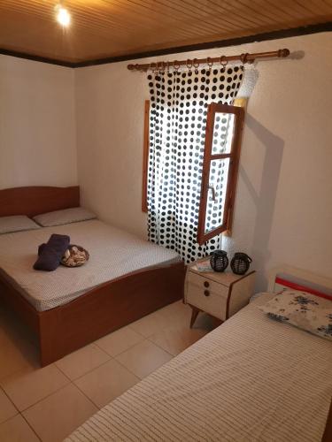 Green Vila Green Vila