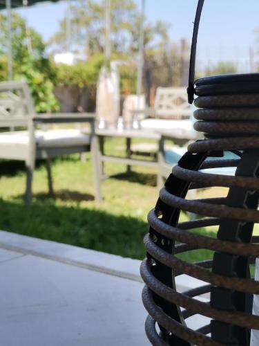 Green Vila Green Vila