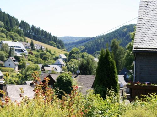 A környék, Helle Wohnung bei Willingen mit Terrasse in Schwalefeld