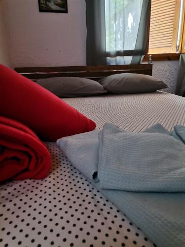 Green Vila Green Vila