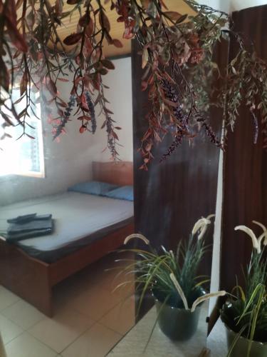 Green Vila Green Vila