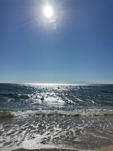 Green Vila Green Vila