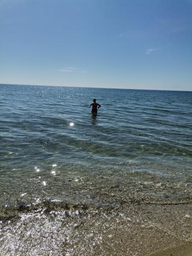 Green Vila Green Vila