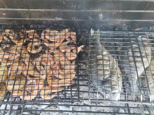 Green Vila Green Vila