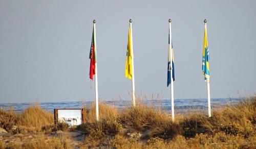 Ilha da Armona Quelfes Olhão gîte à louer Marim