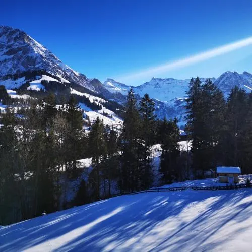 Ferienwohnung Crea in Adelboden, Schweiz