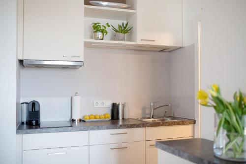Apartment Bianca, Зальцбург (фото 6)