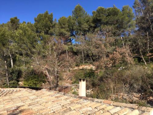 Propriété : 300 M² + (25 M² d'annexe / Pool House) sur 5 ha boisé à 10' d'Aix en Provence