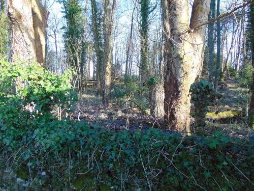 Dreamwood Cottage, Loch Lomond, Luxury Apartment., Glasgow (photo 4)