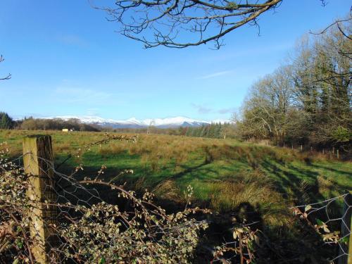 Apkārtne, Dreamwood Cottage, Loch Lomond, Luxury Apartment. in Gartocharn