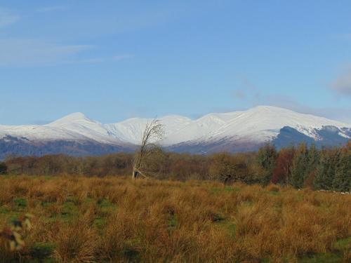 Apkārtne, Dreamwood Cottage, Loch Lomond, Luxury Apartment. in Gartocharn