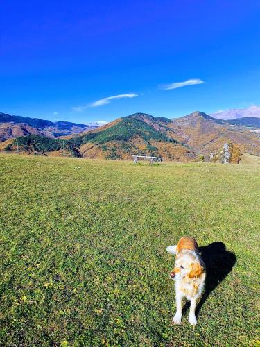  Turismo Rural Casa del Batlle in Sarroqueta
