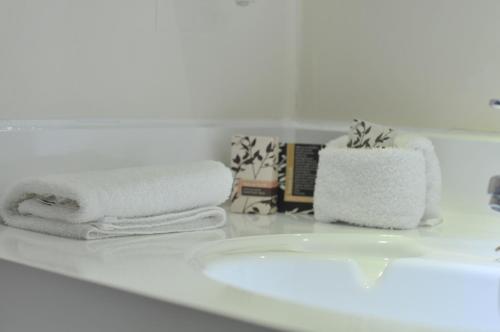 Chelmswood Motel Taupo - image 5