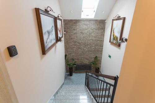 Villa Rustica - main image
