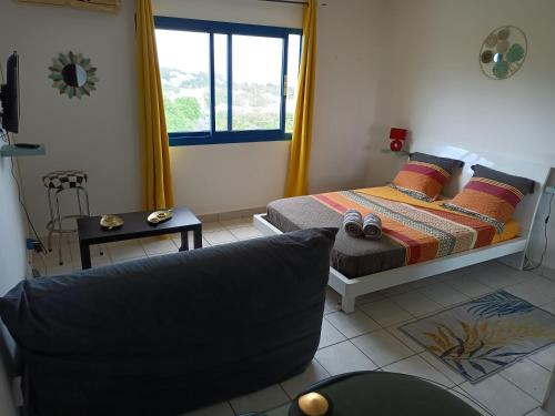 Entre Mer et Montagne, appartement climatisé, vue mer, WIFI - Location saisonnière - Sainte-Marie