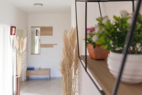 Facilities, House Jasmin with large garden - by TA Leut Agency in Ninski Stanovi