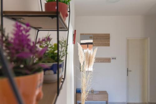 Facilities, House Jasmin with large garden - by TA Leut Agency in Ninski Stanovi