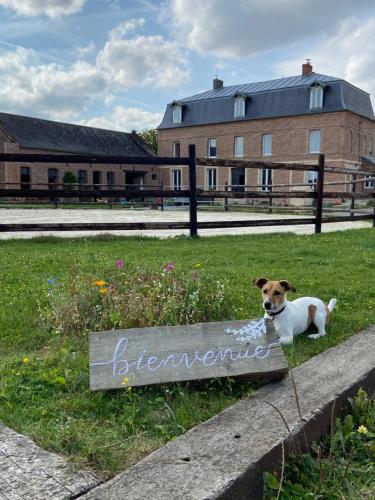 Ferme de Geneve - Gouzeaucourt