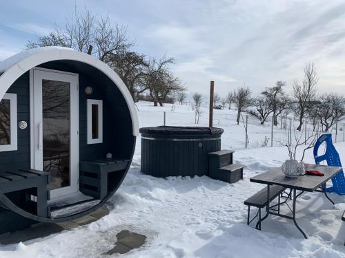 Viktoria House in Balvanyos