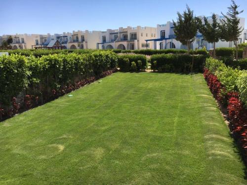 정원, Fully Furnished 4-Bed Town House in Mountain View Ras Al-Hekma in 자위야트 아일라트 누