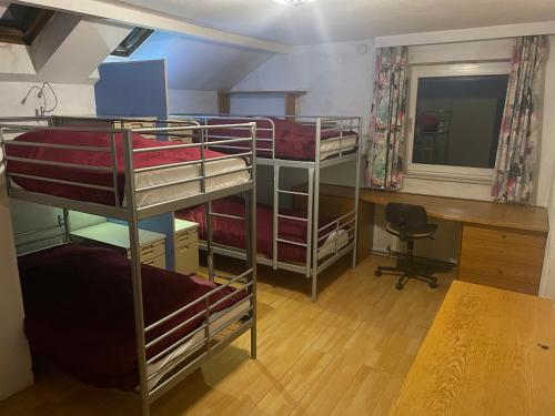 Bed in 4-Bed Dormitory Room