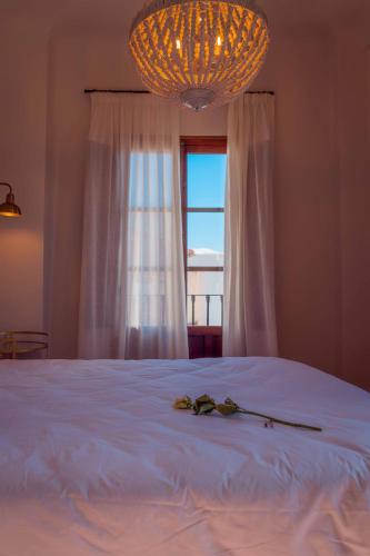 Suite, junior, balcone