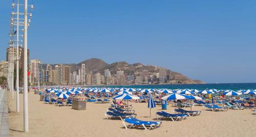 Medplaya Hotel Riudor - Adults Only - image 3