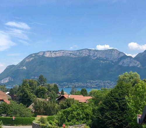 Panoramique du lac Appart SevrierFermé - Apartment - Sévrier