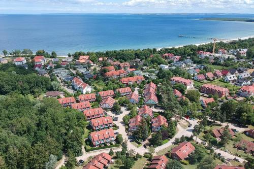 Feriendorf Papillon Wohnung 10-1 - image 4