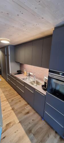 Apartment Almwiesen Mellau in Klaus