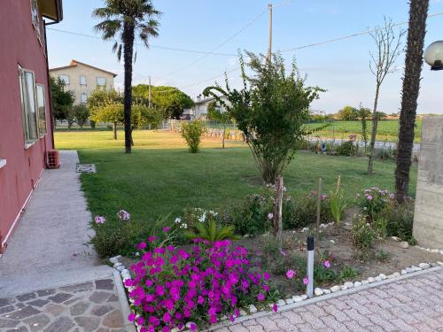 Cygnus Bed & Breakfast, Lido di Jesolo (photo 6)