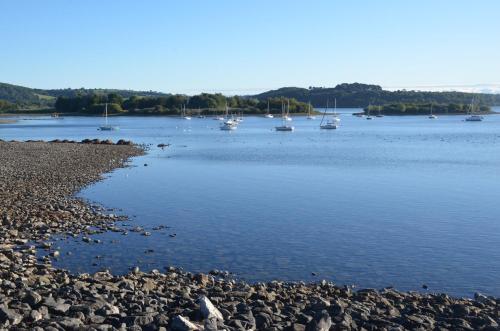Green Farm Stables - image 9
