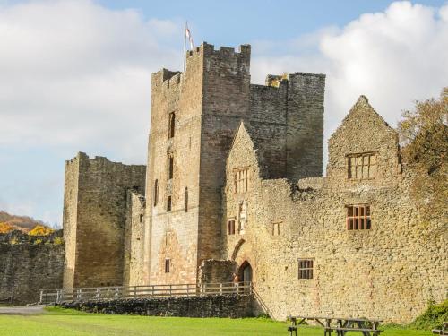 The Chestnuts - image 6