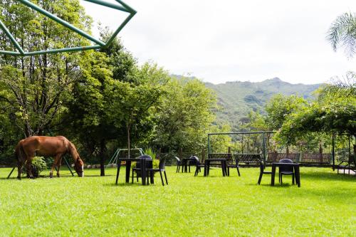 Nuevas Cabañas Del Sol (Nuevas Cabanas Del Sol) in 시티 센터