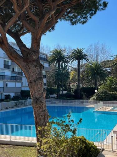 Apartment room in 35m With Pool For Couple In Saint Tropez