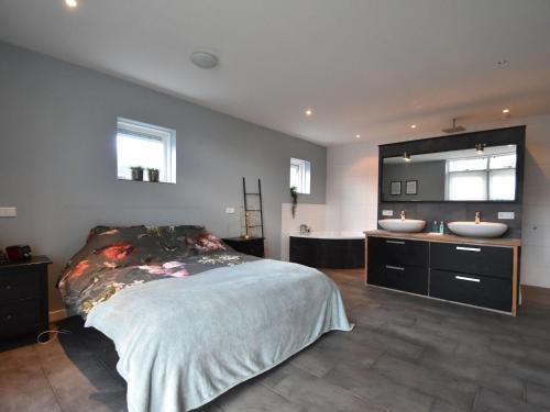 Spacious Holiday Home in Limmen with Whirlpool - image 10