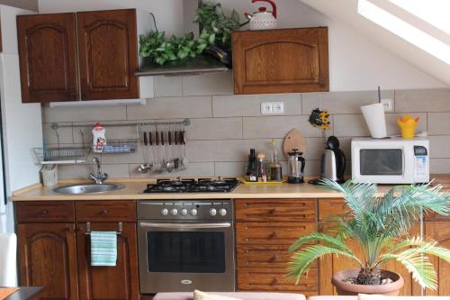 virtuve, Orange Loft Apartment in Kajov