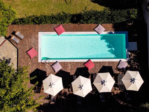  Casa Luxury Suites in Paliouri