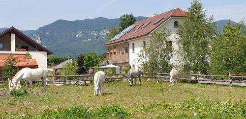 Lipizzaner Lodge Guest House Hrusevje