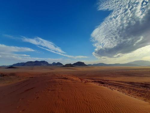Rum Panoramic Camp & Tour - image 3
