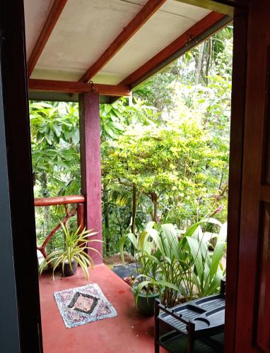 Deluxe Double Room image 6