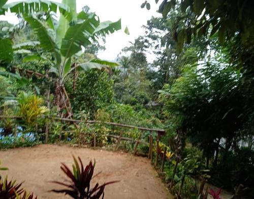 Triple Room with Mountain View image 8