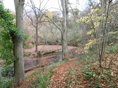 Primrose Lodge Saltburn-by-the-Sea - image 2