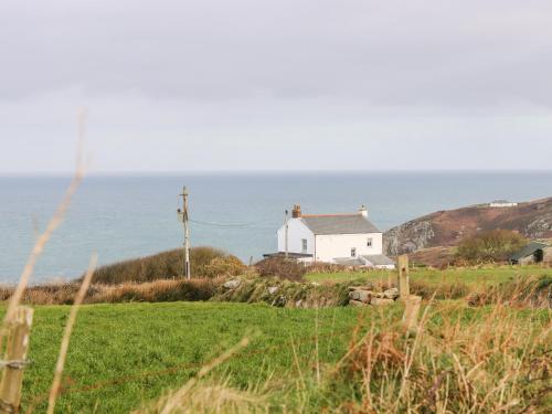 Gurnard's Cottage ST IVES - image 12